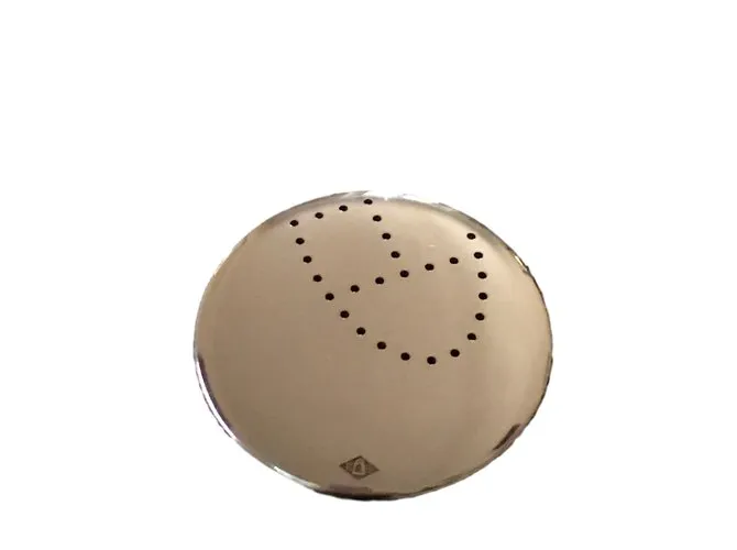 Hermès Alfileres y broches Plata 
